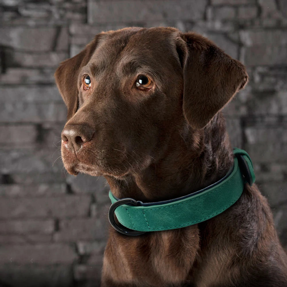 Large Dog Collar Soft Padded Dog Collars Durable Real Leather Pet Necklace Collar for Big Dogs Rottweiler Labrador Pitbull