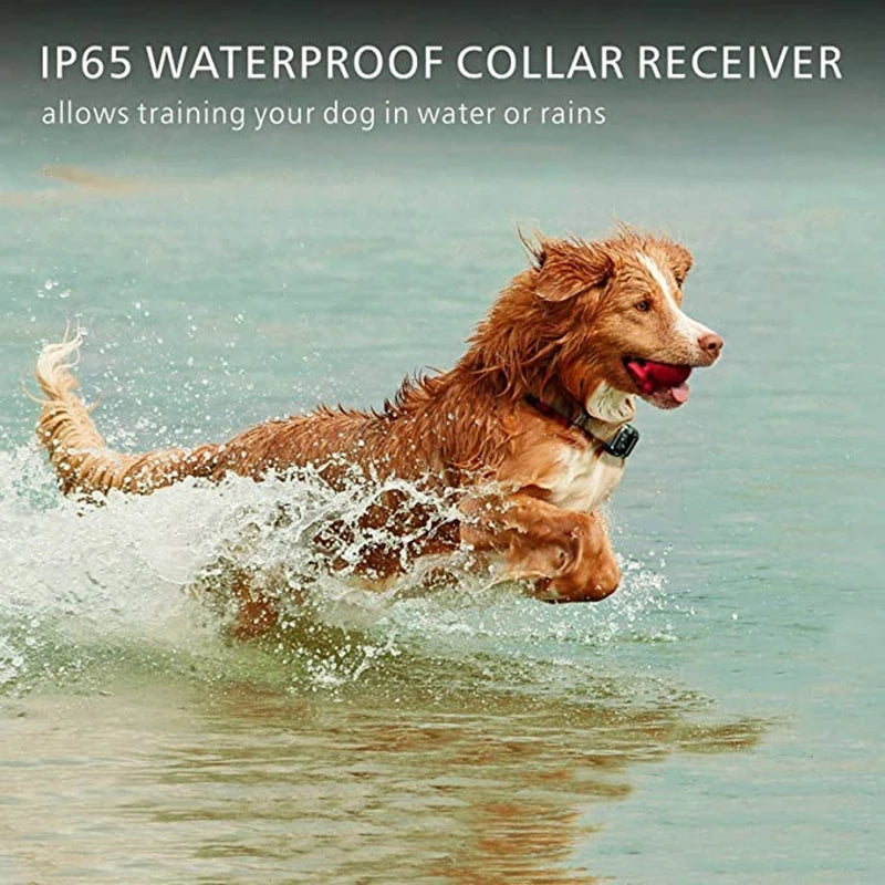 800M Remote Control Electric Anti Barking Training Dog Collar Rechargeable Waterproof Control Collar for Dogs Training Equipment