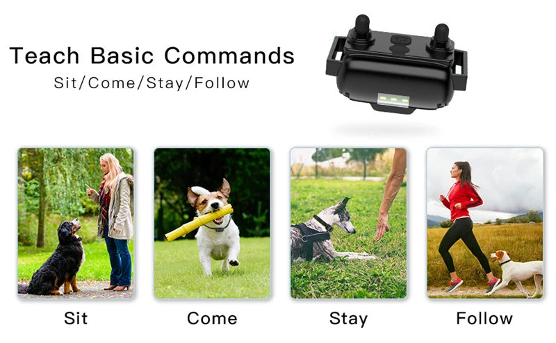 800M Remote Control Electric Anti Barking Training Dog Collar Rechargeable Waterproof Control Collar for Dogs Training Equipment
